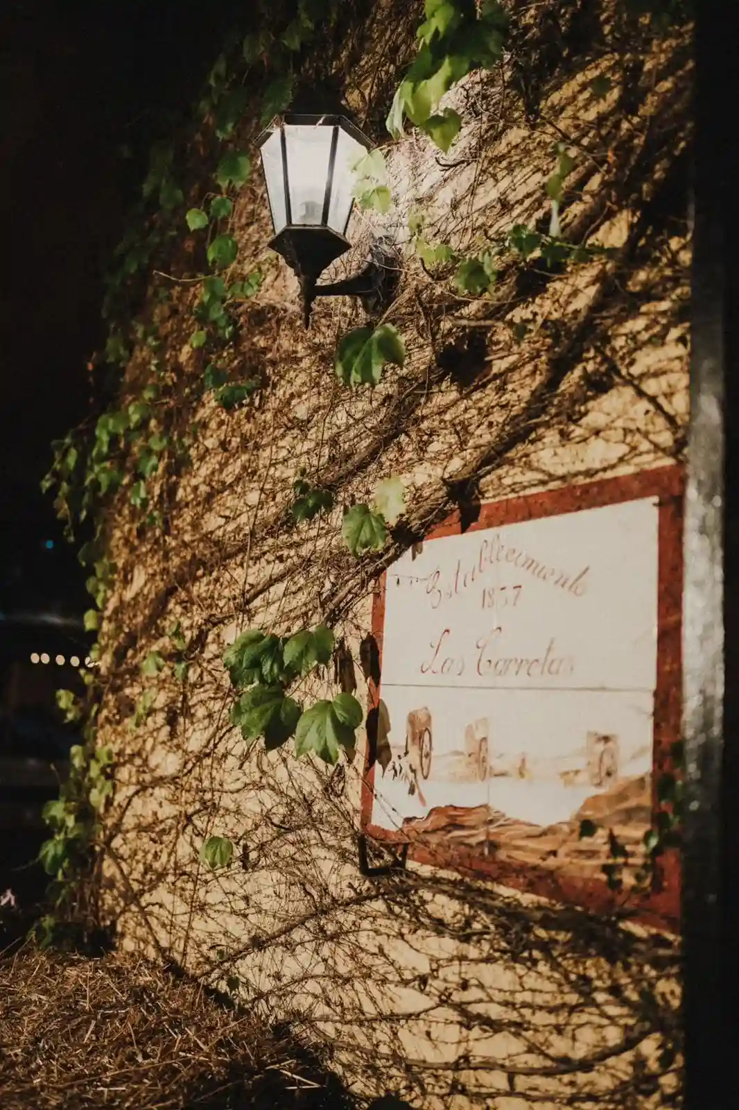 Atardecer en el predio